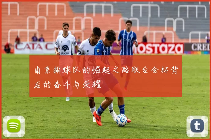 南京排球队的崛起之路联合会杯背后的奋斗与荣耀