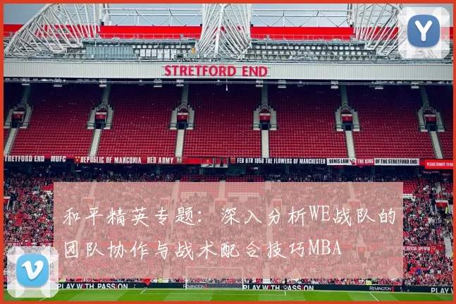 和平精英专题：深入分析WE战队的团队协作与战术配合技巧MBA