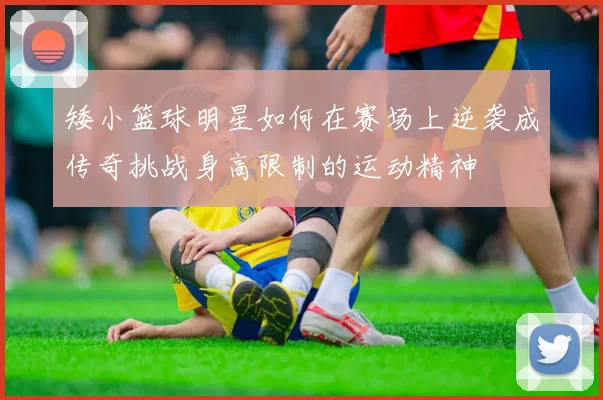 矮小篮球明星如何在赛场上逆袭成传奇挑战身高限制的运动精神