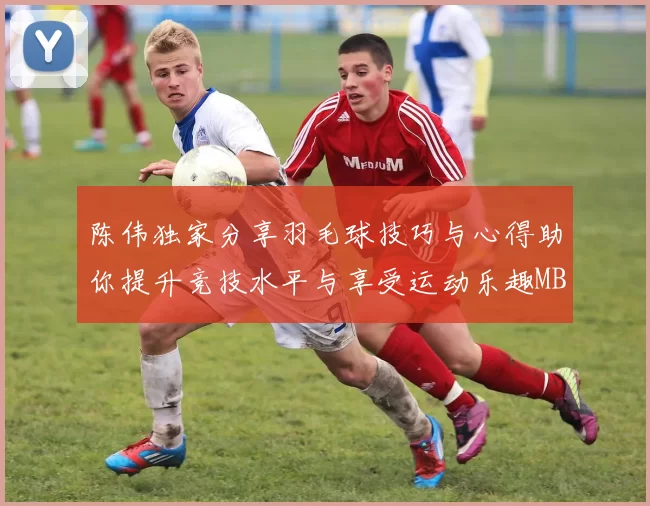 陈伟独家分享羽毛球技巧与心得助你提升竞技水平与享受运动乐趣MBA