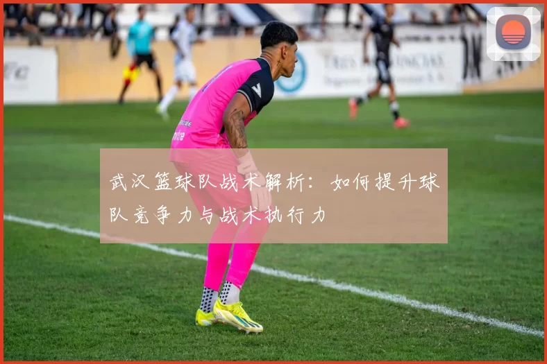 武汉篮球队战术解析：如何提升球队竞争力与战术执行力