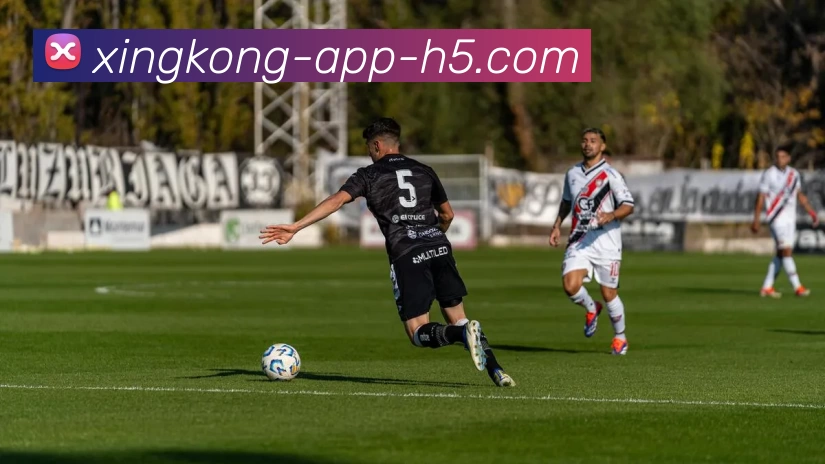 星空体育入口平台生态图