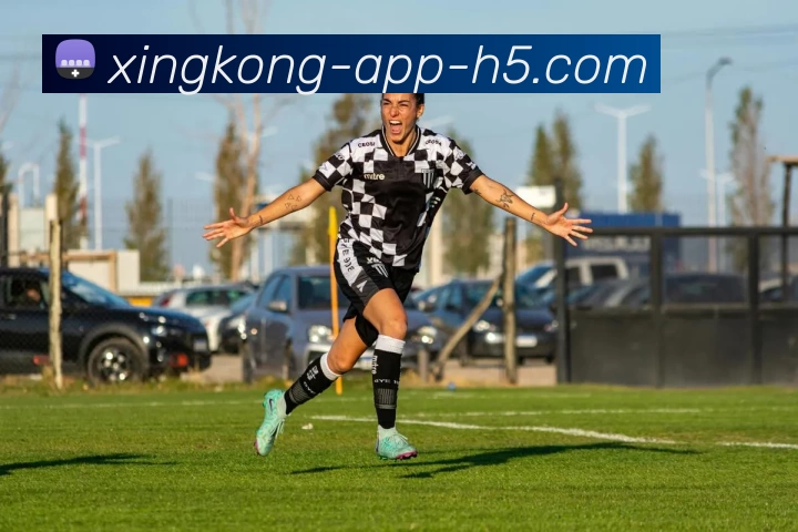 数据防护可视化